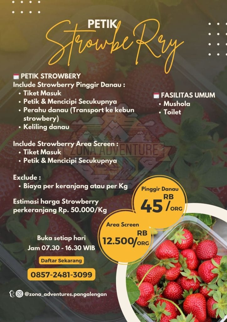Petik Strawberry Pangalengan